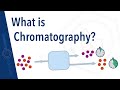 Chromatography Concepts and Principles