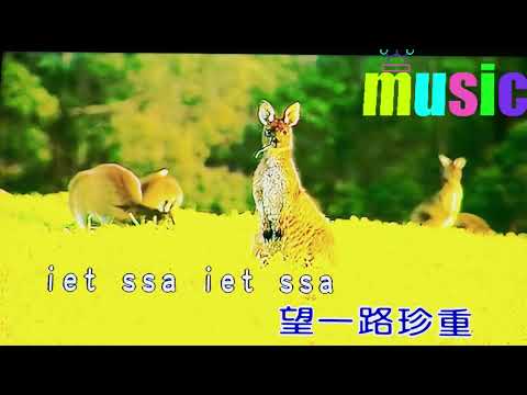 別知己-男+1(金嗓伴唱)KTV 伴奏 no vocal 無人聲 music 純音樂 karaoke 卡拉OK 伴唱別知己-男+1(金嗓伴唱)