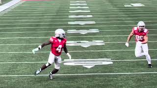 Jeremiah Smith Touchdown vs Grambling 
