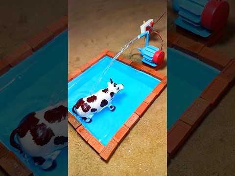 Mini swimming pool project for cow | rural water pump