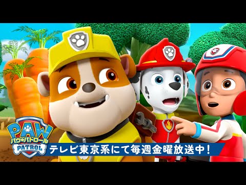 ラブルのベストレスキュー劇！マーシャル、チェイス＆ケントと一緒 | １時間
