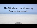 The Wind and the Moon's Dance