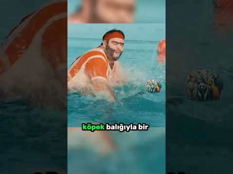Köpekbalığını Yendi, Patronunu Yenemedi 🦈🏖🤔