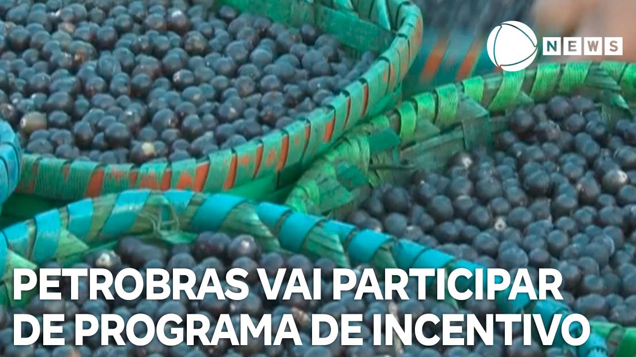 Petrobras vai participar de programa de incentivo