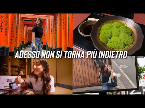 QUESTO È IL GIAPPONE CHE CERCAVO!! vlog