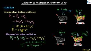 Class 11th | Punjab Board (2025-26) | Chapter 2 | Numerical Problem: 2.10