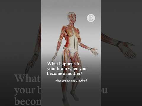 What happens to your brain when you become a mother? | The Economist