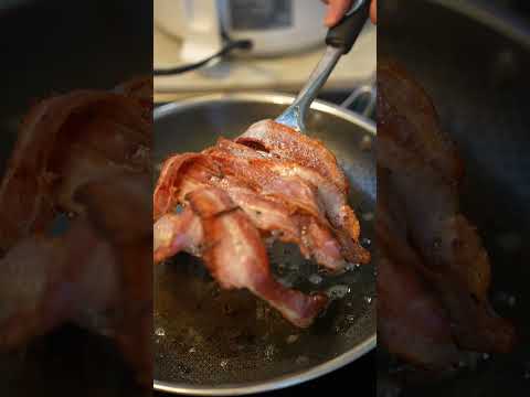 Dog of the Week: The Idaho