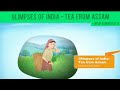 Exploring the World of Tea