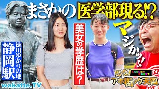 【美女×医学部!?】静岡駅前で偏差値聞いてたらガチすぎた…！徳川ゆかりの地静岡でアホ街ック天国【wakatte TV】#1281