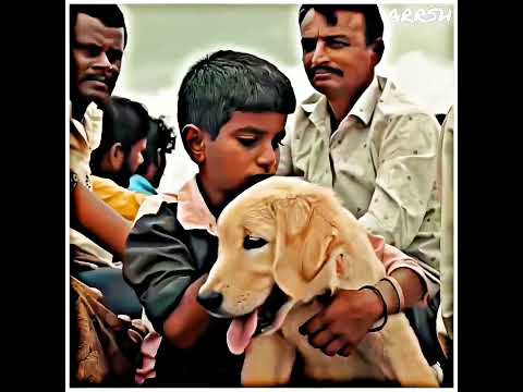 boy and dog ๐ถ๐ friendship|| #dogshorts #doglove #emotionalstatus #sadstatus #sad