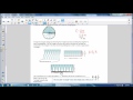 Area and Properties of Circles