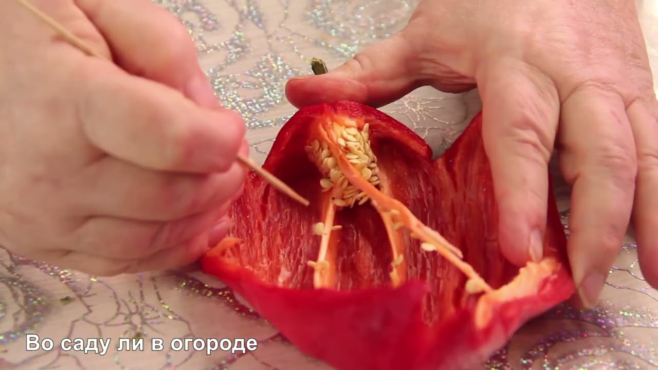 Никогда не берите такие семена из перца на посадку!