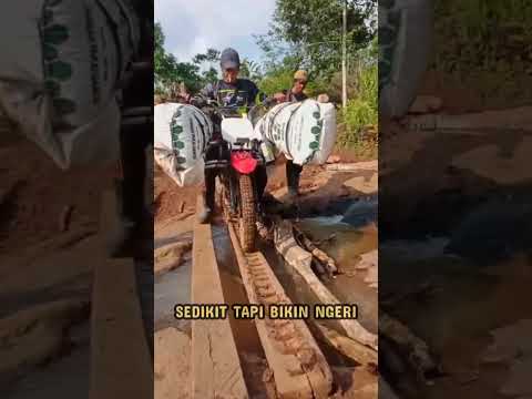 ojek kopi ektra hati-hati melewati jembatan kecil ekstrim#shots