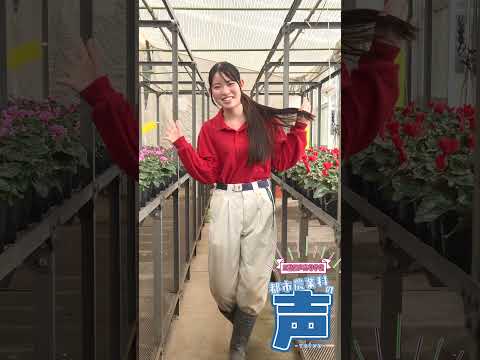 【ショート】【密着取材】神奈川県立三浦初声高等学校都市農業科に潜入～かながワン#３～