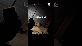 真夜中に襖の音が…笑｜PECO