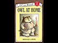 Owl's Emotional Journey and Challenges