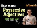 Exploring Possessive Adjectives in Spanish