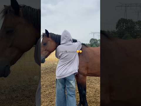 Avec la musique de mon p’tit Tk 😋😋