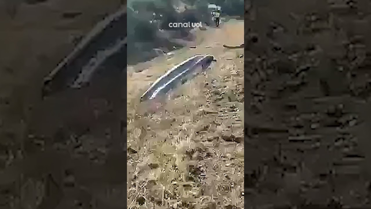 Morre Diogo Jota vídeo mostra carro do jogador em chamas após acidente em Zamora na Espanha