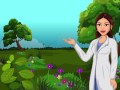 Understanding Leaves