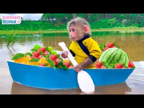 🔴 BiBi Animals Home Live 24/7 | Monkey Baby BiBi Farmer BiBi obedient take care of her friends