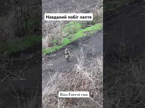 Набігався лапоть …