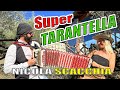 Super tarantella Nicola SCACCHIA campione mondiale di organetto