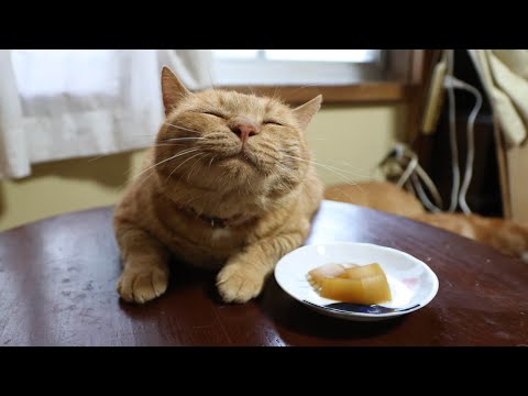 夕顔の煮付けの作り方｜家庭で楽しむ日本の伝統料理 サムネイル