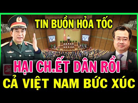 Tin nóng ĐẶC BIỆT mới nhất 6/02/2025//Tin nóng Việt Nam Mới Nhất Hôm Nay#tintuc24hhd