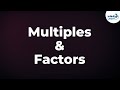Exploring Factors and Multiples in Mathematics