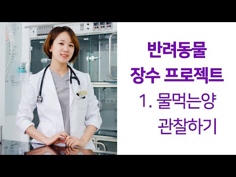 반려 동물은 아픈 걸 몸으로 말해요 - 1. 물먹는 양의 변화 - 메이플동물의료센터