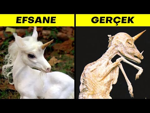 Gerçek Hayatta Gerçekten Var Olan Efsanevi Yaratıklar