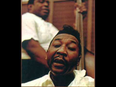 muddy-waters-good-morning-little-school-girl-david-barfield