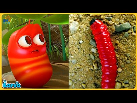 LARVA CARTOONS 2024: BROWN BEE'S JOURNEY TO FIND TREASURE | Best Cartoon Movie 20245