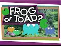 Frog and Toad Identification
