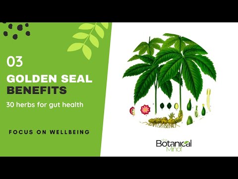 The Botanical Mind