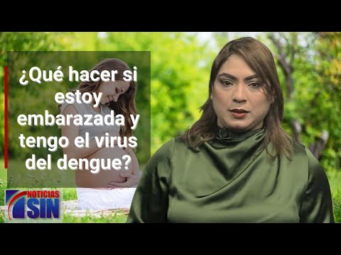 ¿Qué hacer si estoy embarazada y tengo dengue?