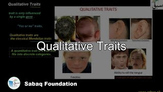 Qualitative Traits