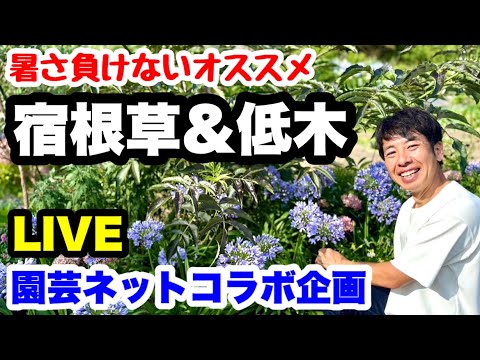 ◆夢のコラボ実現【やっちゃんねる】×【園芸ネット】限定ステッカープレゼント企画🎁合言葉は『やっちゃんねる』