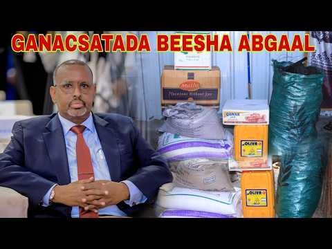 GANACSATADA BEEL WEENTA ABGAAL 130 QOYS AYAN AFUR IYO  SAXUUR  HEYSAN