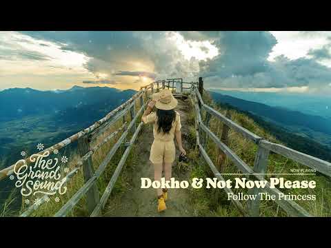 Dokho & Not Now Please - Follow The Princess
