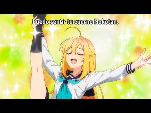 Koshitan baila para Nokotan