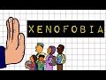 Xenofobia e Racismo no Brasil