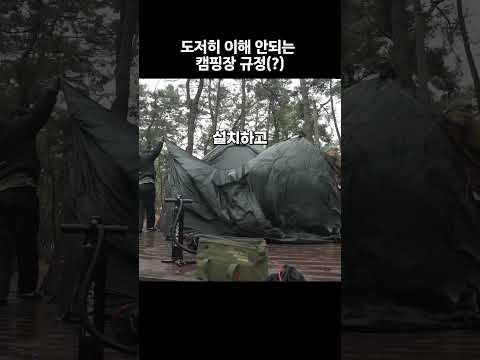 왜 11시에 나가야 하죠? #shorts #캠핑 #입실 #퇴실