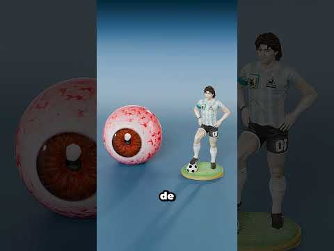 Ojo de Rana vs Ojo de Ballena 😨 #curiosidades