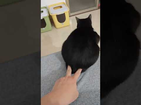 UNUSUAL MEMES COMPILATION V2