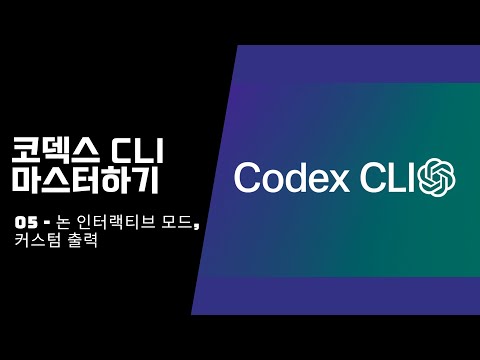 코덱스 non interactive 모드와 커스텀 출력