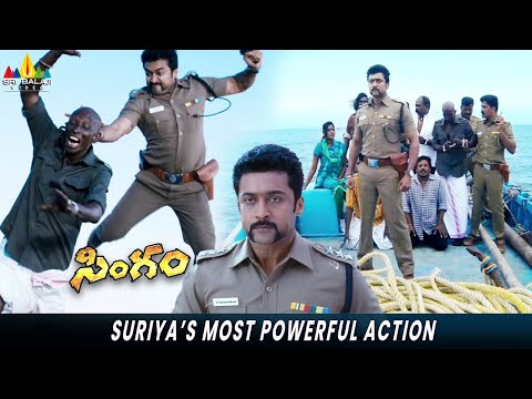 Suriya's Most Powerful Action | Singam | Anushka, Hansika | Hari | Telugu Movie Actions Scenes