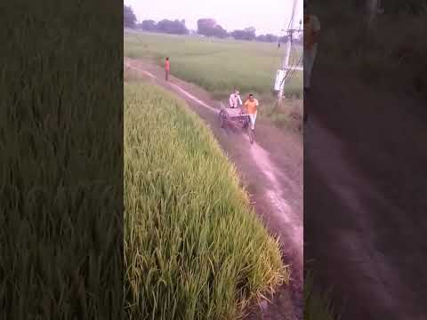 #shortvideoकरिए कबाड़ वाला हैं